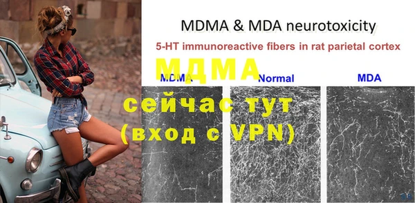 мяу мяу мука Белоозёрский