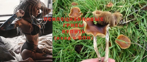 мяу мяу мука Белоозёрский
